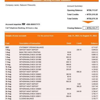 Taiwan Business Bank statement Word and PDF template download template file