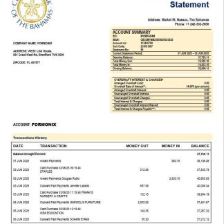 The Central Bank of Bahamian enterprise account statement Word and PDF template download template file