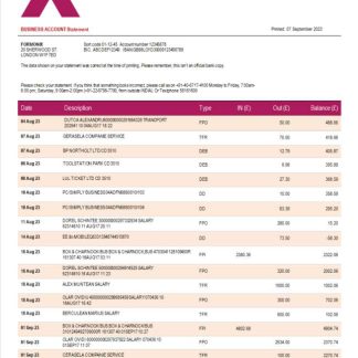 Axis Bank enterprise statement Word and PDF template download template file