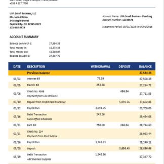 Tirana firm account statement Word and PDF template download template file