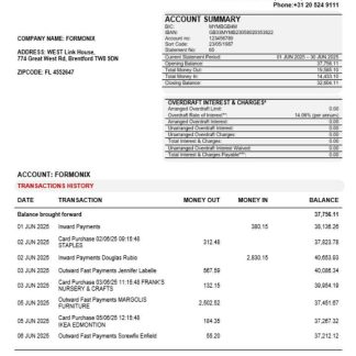 Trade Bank business account statement Word and PDF template download template file
