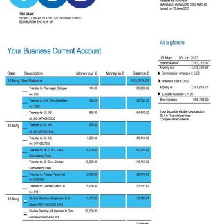 TSB Bank firm account statement Word and PDF template download template file