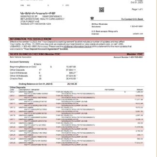 U.S. Bank organization account statement Word and PDF template download template file