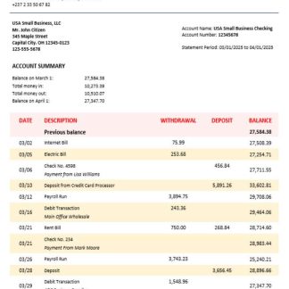 UBA company statement Word and PDF format download template file