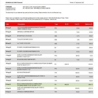 UBS Bank corporate checking account statement Word and PDF template download template file