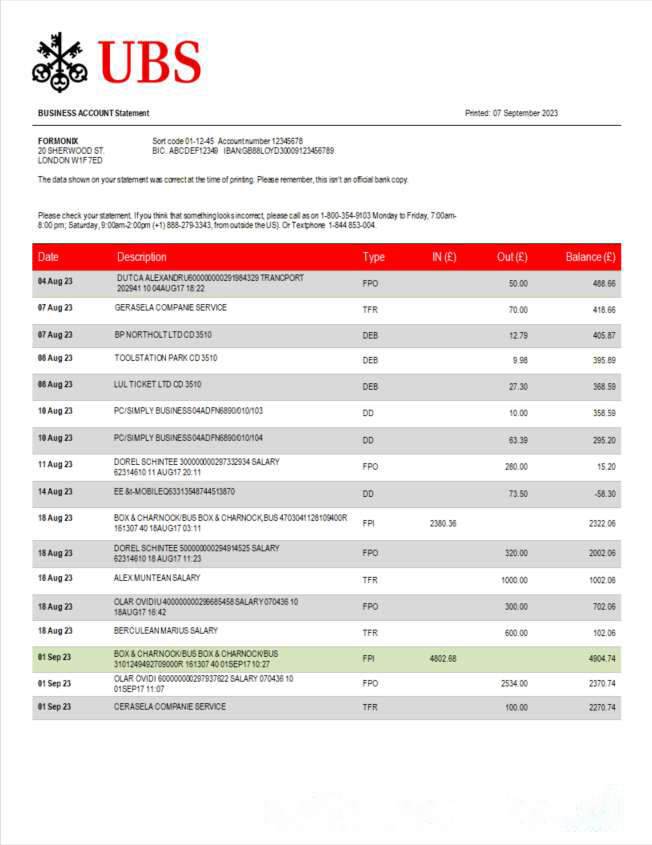 UBS Bank corporate checking account statement Word and PDF template download template file