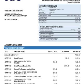 UCPB bank company statement Word and PDF format download template file