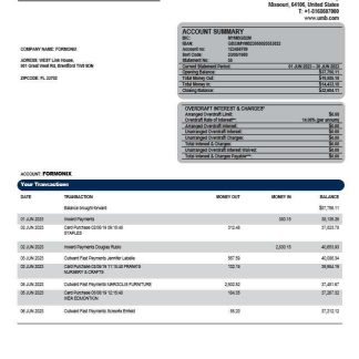 UMB Bank enterprise account statement Word and PDF template download template file