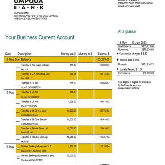 Umpqua Bank organization checking account statement Word and PDF template download template file
