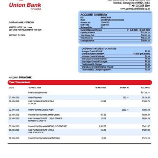 Union Bank of India business statement Word and PDF template download template file