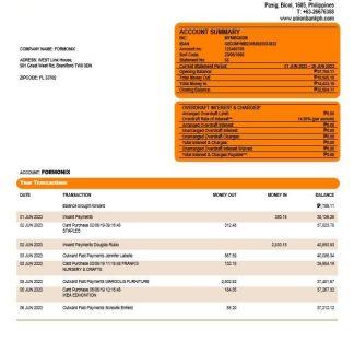 Union Bank of the Philippines business statement Word and PDF template download template file