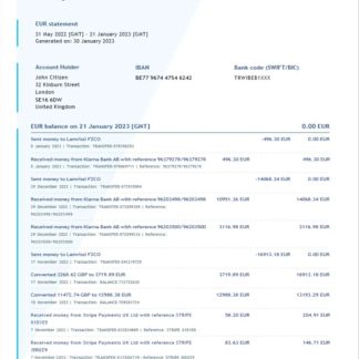 United Kingdom Wise Business bank statement Word and PDF template download template file
