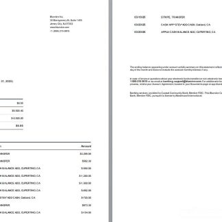 USA New Jersey Bluevine bank st, 3 pages, 1 2p download template file