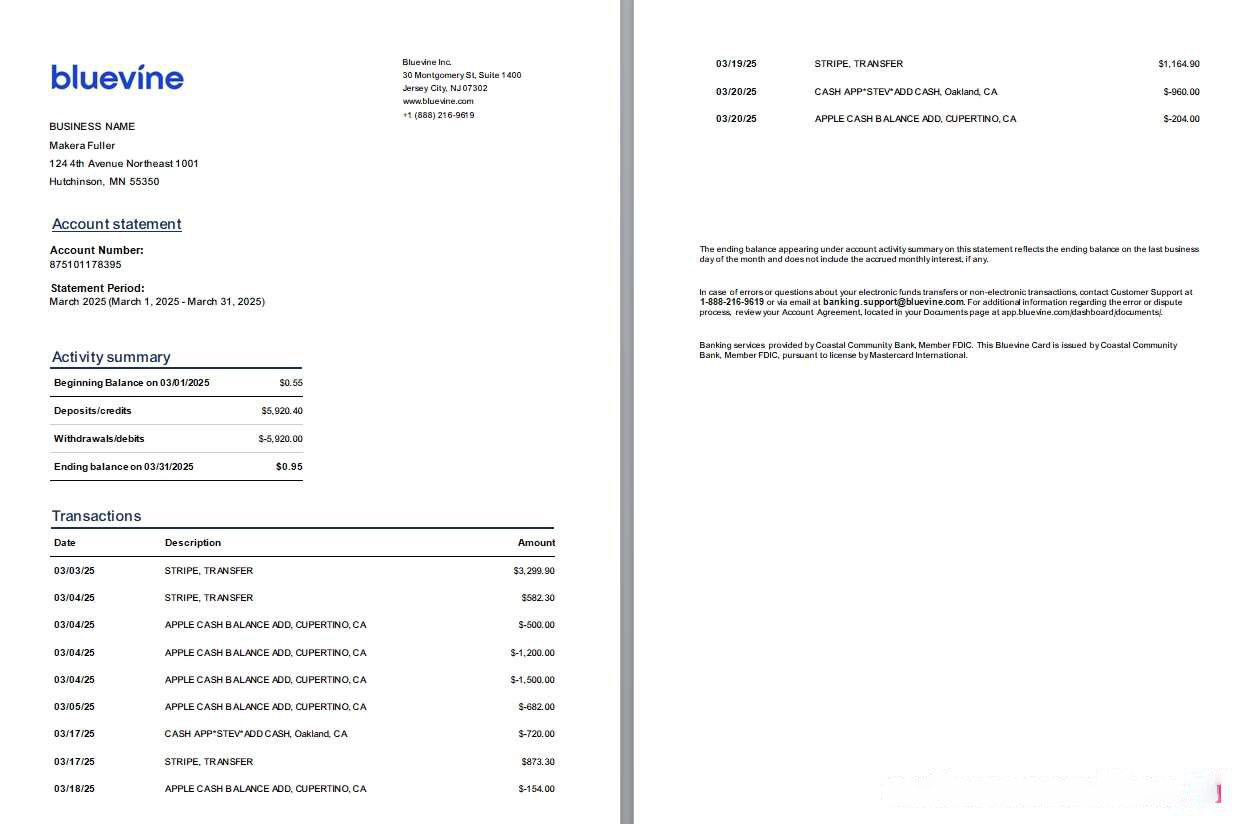 USA New Jersey Bluevine bank st, 3 pages, 1 2p download template file