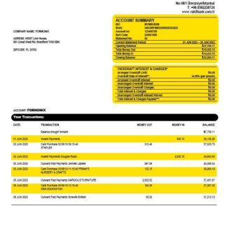 Vakifbank company account statement Word and PDF template download template file