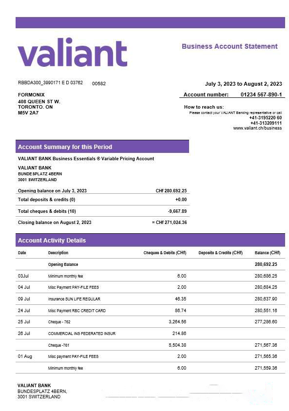 Valiant Bank enterprise account statement Word and PDF template download template file