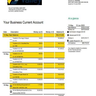 Valley National Bank business statement Word and PDF template download template file