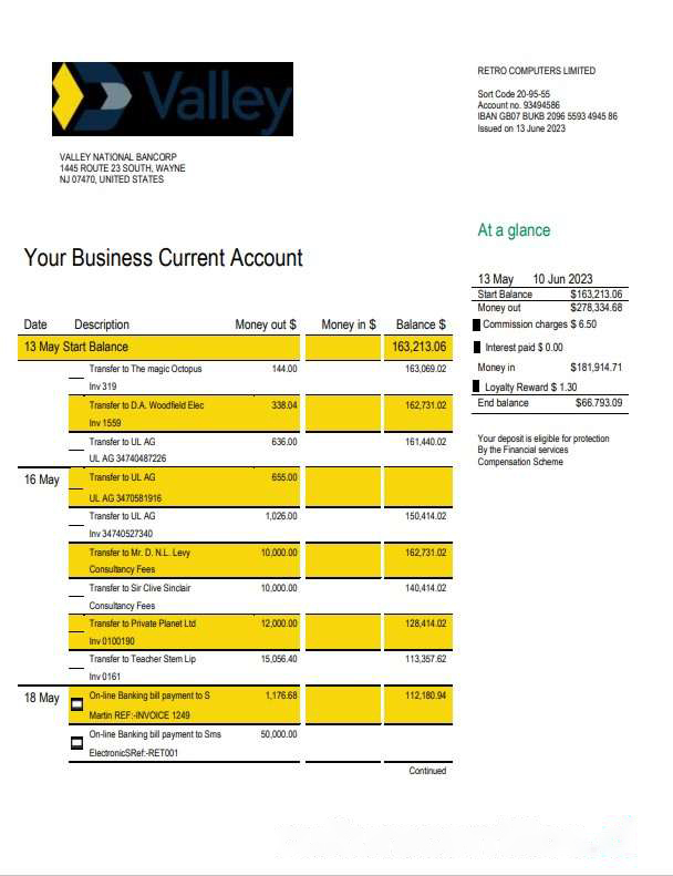 Valley National Bank business statement Word and PDF template download template file
