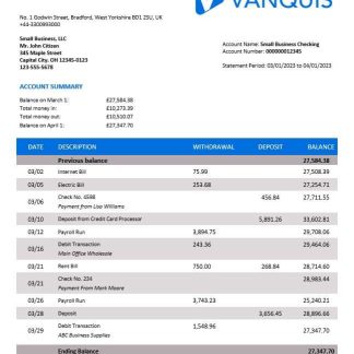 Vanquis Bank organization account statement Word and PDF template download template file