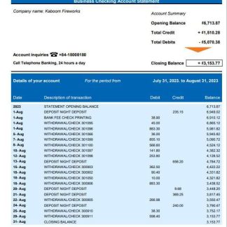 VIB Bank business checking account statement Word and PDF template download template file