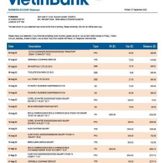 Vietin Bank firm account statement Word and PDF template download template file