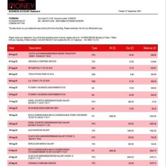 Virgin Money Bank firm account statement Word and PDF template download template file