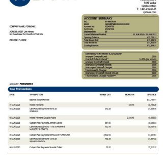 VP Bank firm account statement Word and PDF template download template file
