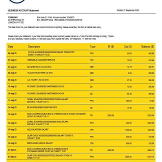 Webster Bank business statement Word and PDF template download template file