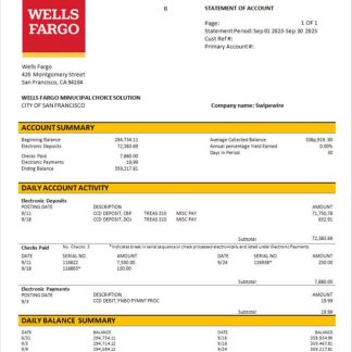 Wells Fargo business account statement Word and PDF template download template file
