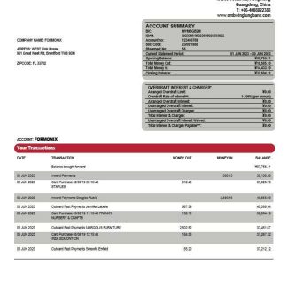 Wing Lung Bank company account statement Word and PDF template download template file