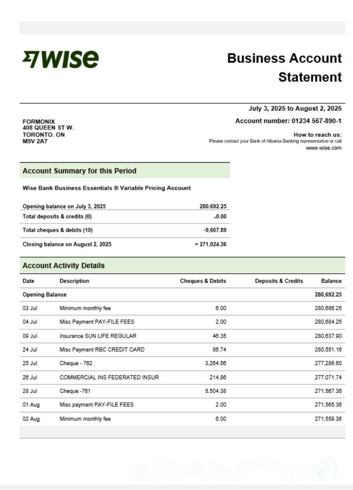 Wise company checking account statement Word and PDF template download template file