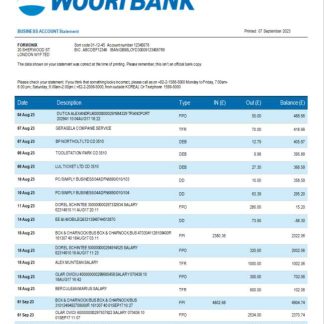 Woori Bank business statement Word and PDF template download template file