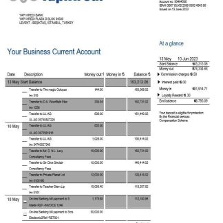 Yapi Kredi Bank organization account statement Word and PDF template download template file