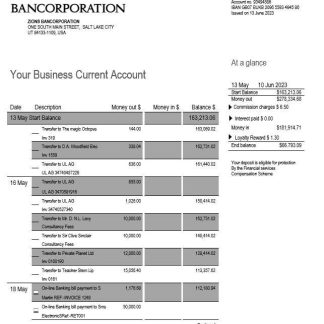 Zions Bancorporation Bank business checking account statement Word and PDF template download template file