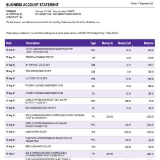Banco Africano de Investimentos business bank statement Word and PDF format download template file