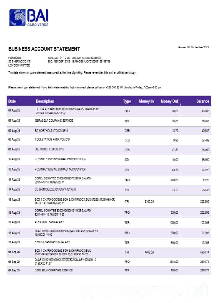 Banco Africano de Investimentos business bank statement Word and PDF format download template file