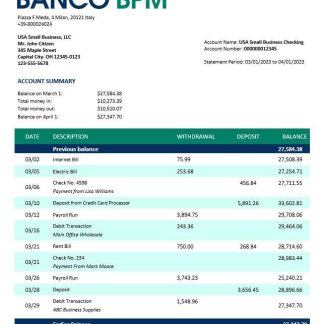 Banco BPM enterprise statement Word and PDF template download template file