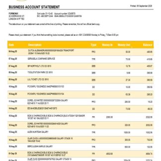 Banco Central de Bolivian enterprise statement Word and PDF format download template file