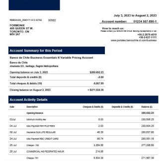 Banco de Chile organization statement Word and PDF template download template file