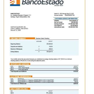 Banco del Estado de Chille organization statement Word and PDF template download template file