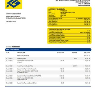 Banco do Brasil bank organization account statement Word and PDF template download template file