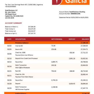 Banco Galicia company account statement Word and PDF template download template file
