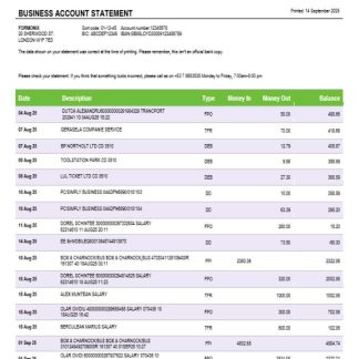 Banco Metropolitano organization checking account statement Word and PDF template download template file