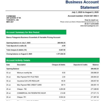 Banco Patagonia business bank statement Word and PDF format download template file