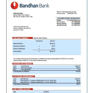 Bandhan Bank organization account statement Word and PDF template download template file