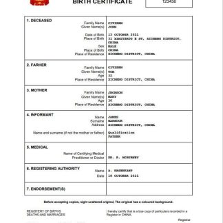 China birth certificate Word and PDF template download template file