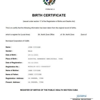 Cyprus birth certificate Word and PDF template download template file