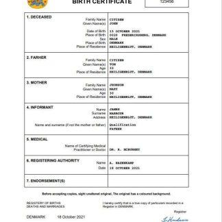 Denmark vital record birth certificate Word and PDF template download template file