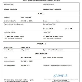Dominica vital record birth certificate Word and PDF template download template file