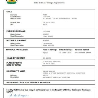 Egypt birth certificate Word and PDF template download template file